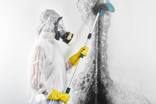 Best Mold-Related Health Consultation  in Grayson, GA