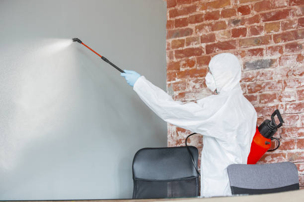Best Dehumidification Services  in Grayson, GA