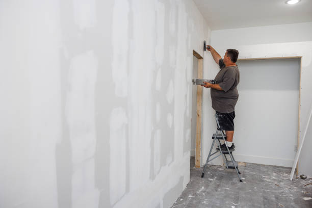Best Mold Damage Restoration  in Grayson, GA