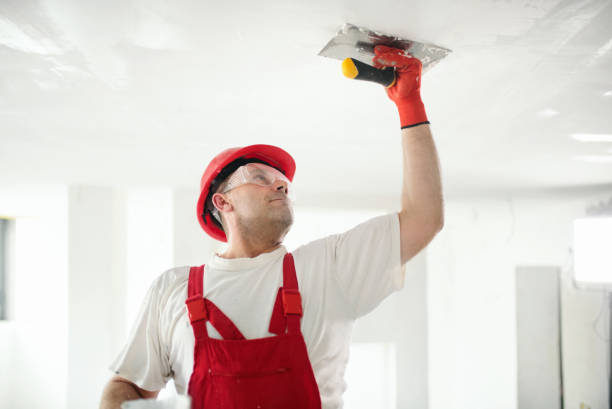 Best Air Quality Testing for Mold Spores  in Grayson, GA
