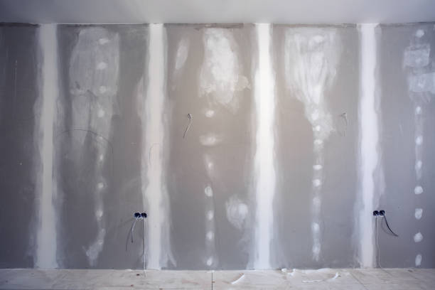 Best Black Mold Removal  in Grayson, GA